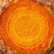 Turmeric root, cut
