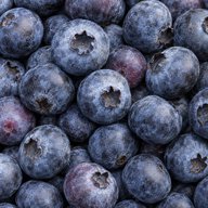 Blueberries