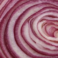 Red onion layers
