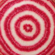 Chioggia beet slice